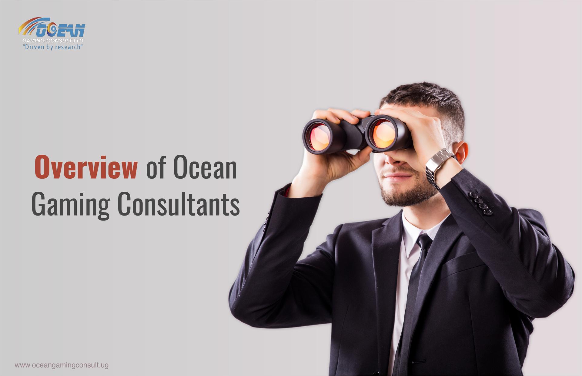 Overview of Leading Ocean Gaming Consultants